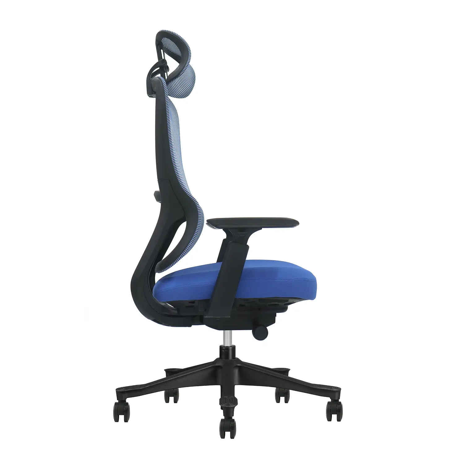 EV-BLU-BF-HB_side2 1