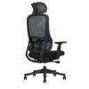 EV Black 45° Low Res 2