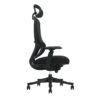 EV Black Back Low Res 1