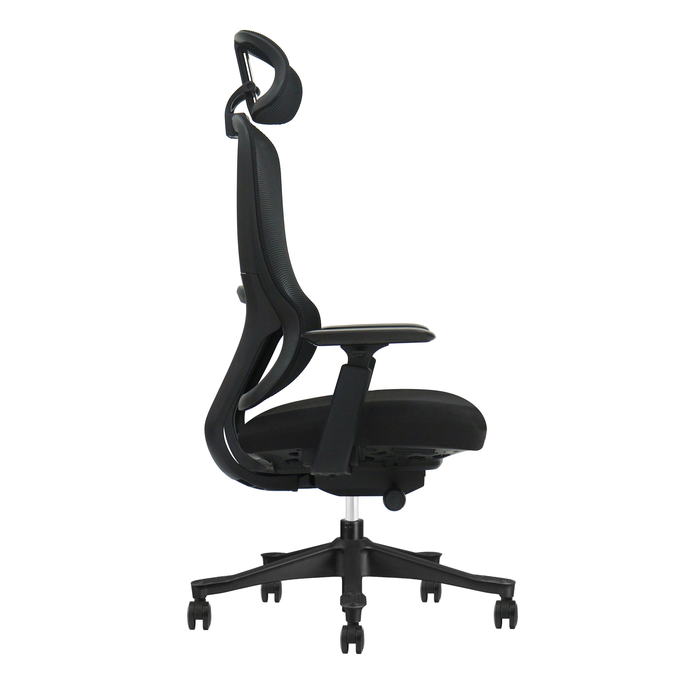 EV Black Back Low Res 1