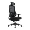 EV Black Side Low Res 1