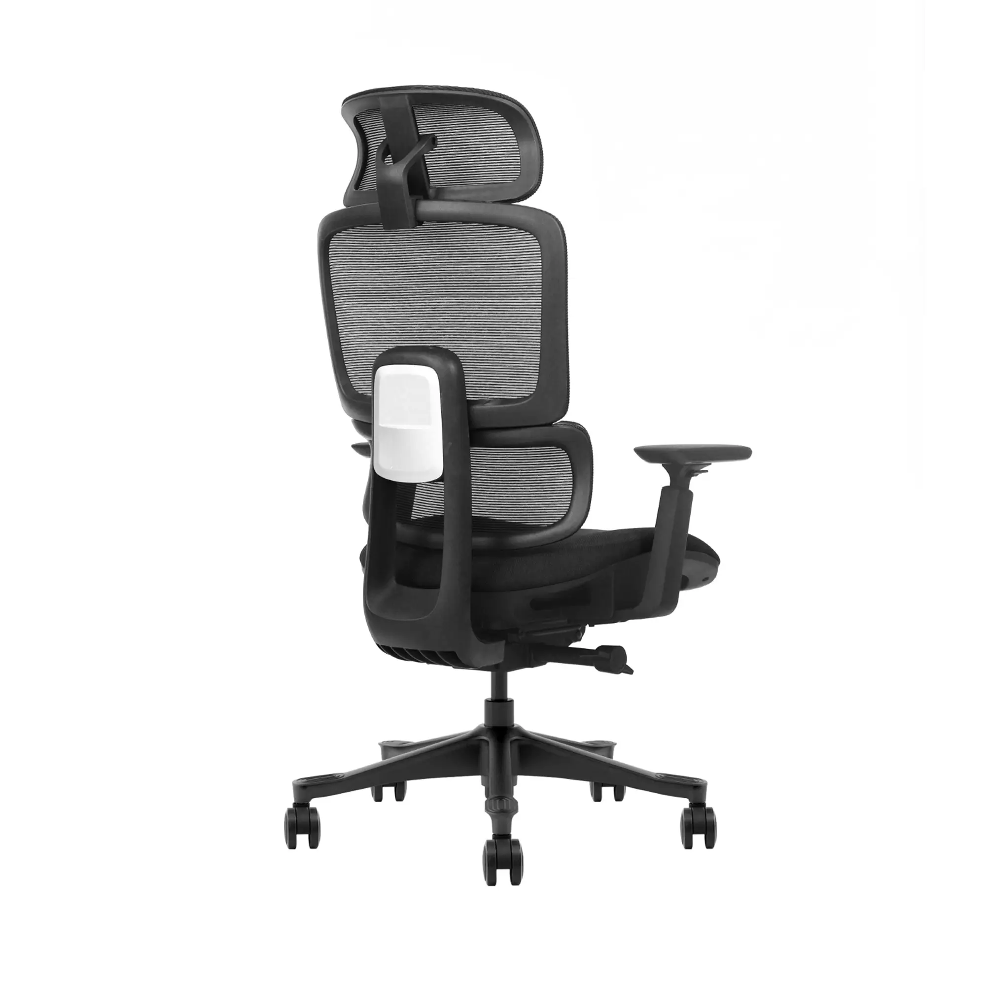 Resources 23 02 everyone chair rear angle